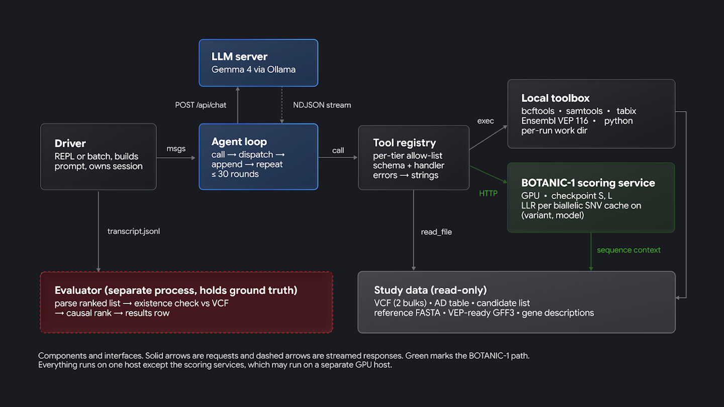 Gemma and BOTANIC-1 analysis workflow