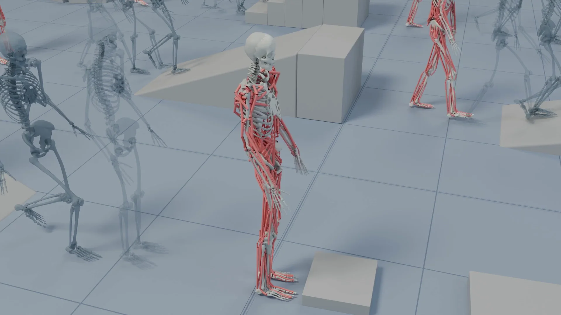 TERRA terrain-aware locomotion overview